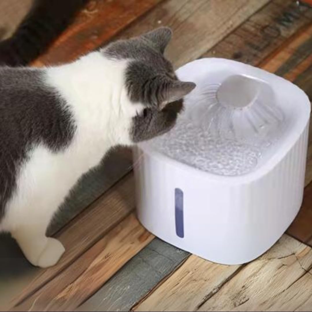 Quiet Cat Water Fountain with 4 Filter Packs - Stainless Steel Pet Drinking Fountain, Auto Dispenser for Cats and Dogs, 3L Large Capacity, Bpa-Free, with 5-Layer Filtration System