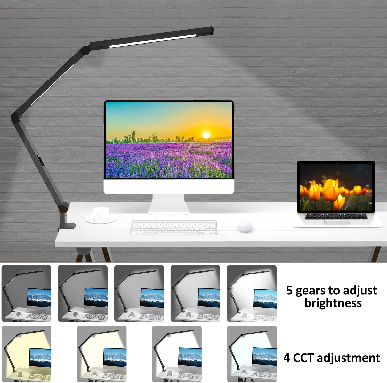 LED Desk Lamp with Clamp, Architect Desk Lamp with Dual Light and Adjustable Swing Arm, Clip-On Eye-Care 4 CCT Modes & 5 Brightness Levels Table Light Modern Desk Light for Home Office